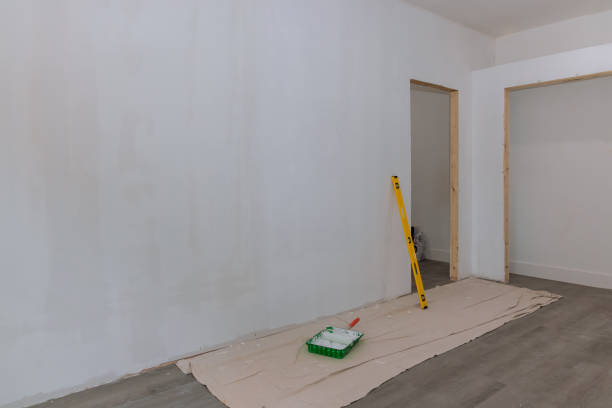 Professional Mold Removal in Elmwood Place, OH